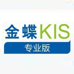 金蝶kis专业版永久激活版 v14.0 免注册版