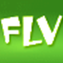 万能FLV视频格式转换器(FLV converter) v4.1.0.12 绿色版