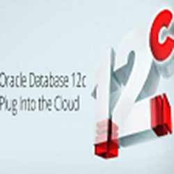 Oracle Database 12c数据库经常用的软件 v12.1.0.2.0 标准版