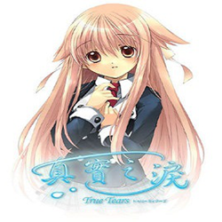 真实之泪游戏汉化版 汉化硬盘版
