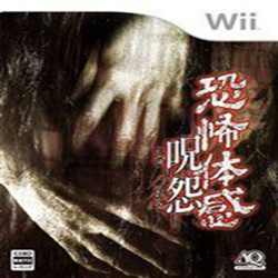 恐怖体感咒怨pc(自带wii模拟器) 简体中文版