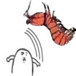 老子撕碎你的皮皮虾表情包 高清无水印版