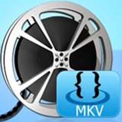 Bigasoft MKV Converter(MKV播放转换器) v3.7.50 完美版