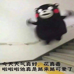 不回消息表情包 高清无水印版