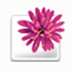 adobe illustrator cs绿色免费版 v11.0 简体中文版