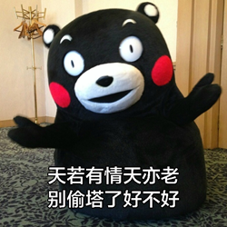 熊本熊lol诗人表情包 高清无水印版