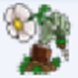 植物大战僵尸年度版修改器 v3.1 绿色免费版