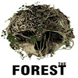 森林免安装中文版(The Forest) v0.52b 绿色版
