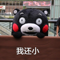 熊本熊六一儿童节表情包 v2017 高清无水印版