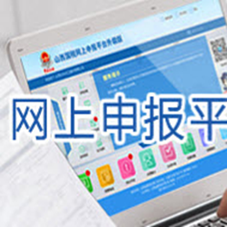 山西省国税地税网上申报系统服务平台 v1.0.0 官网最新版