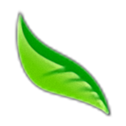千年健门诊电子处方经常用的软件 v2.0 官方正式版