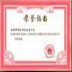 荣誉证书模板word版 doc格式免费版