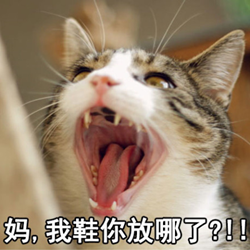 放暑假动态表情包 高清版_支持QQ/微信