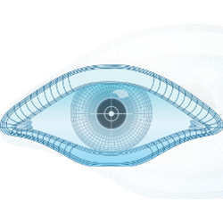 Nmap Zenmap GUI端口扫描工具 v7.92 绿色汉化版