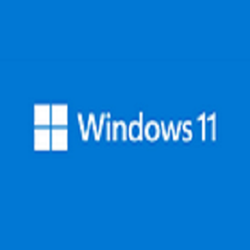 夜雨十三天微软Win11 21H2正式版简优化版 v22000.1219 官方最新版精简版