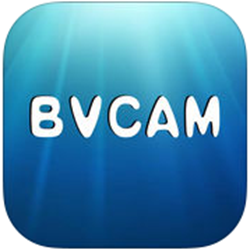 BVCAM经常用的软件pc客户端 v1.7.0 官方正式版