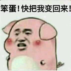 乌克兰小乳猪表情包 高清无水印版