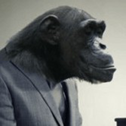 typemonkey中文脚本(AE文字混排脚本) v1.74 官方最新版