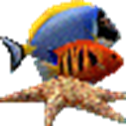 3d热带鱼水族箱屏保(Marine Aquarium) v3.3 汉化版