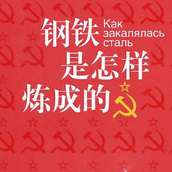 钢铁是怎样炼成的读书笔记20篇 word电子版
