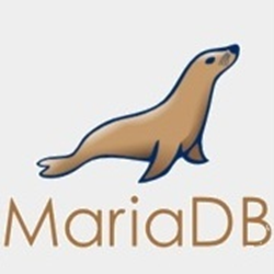 MariaDB for Windows v10.5.8 官方正式版
