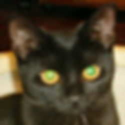 Roadkils DiskImage中文版 v1.6 绿色版
