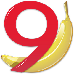 Banana会计 v9.0.4 官方正式版