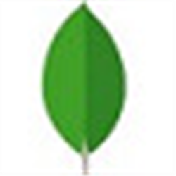 MongoDB Compass可视图形化管理工具 v1.26.1 官方正式版