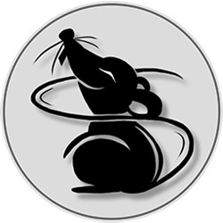 Thief经常用的软件 v4.0.0 免费版