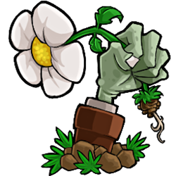 植物大战僵尸金坷垃电脑版 中文版