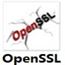 openssl windows客户端 v3.0.5 官方正式版