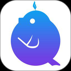 音壳音乐学院 v6.3.5 安卓版