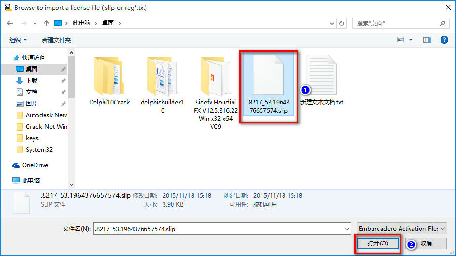 delphi xe10破解版