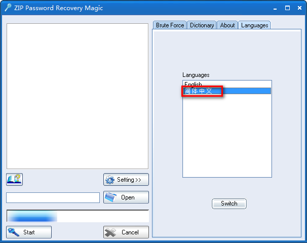 ZIP Password Recovery Magic中文教程