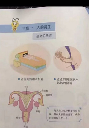 小学生性教育读本全册教材