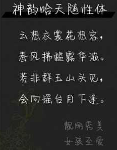 神韵哈天随性体