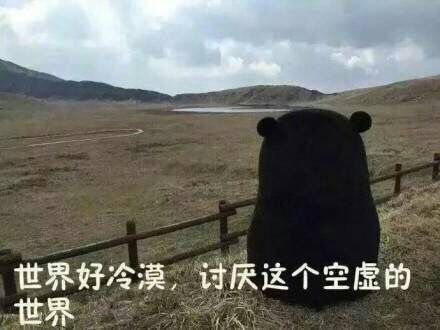 不回消息表情包