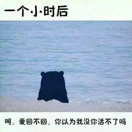 不回消息表情包