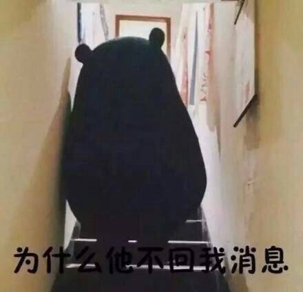 不回消息表情包