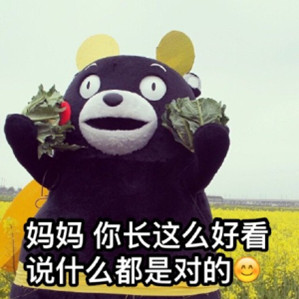 熊本熊妈妈表情包
