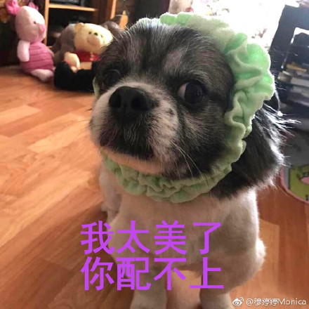 累成狗的图片