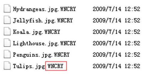 wncry勒索病毒修复经常用的软件