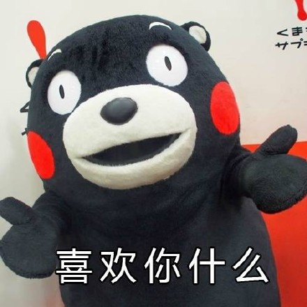 熊本熊520表白表情包