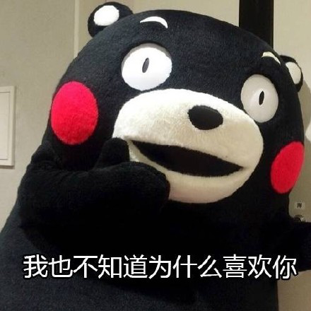 熊本熊520表白表情包