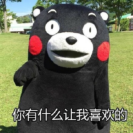 熊本熊520表白表情包