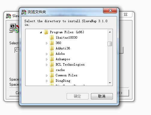 SlavaNap服务器