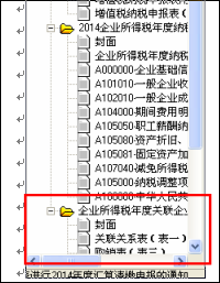 北京国家税务局办税经常用的软件演示版