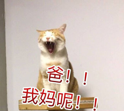 放暑假表情包