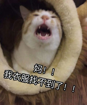 放暑假表情包