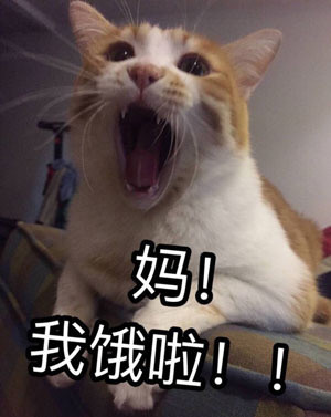 放暑假表情包
